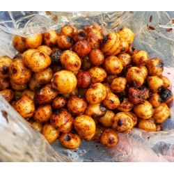 TIGER NUT - orzech tygrysi - 4x1,6kg